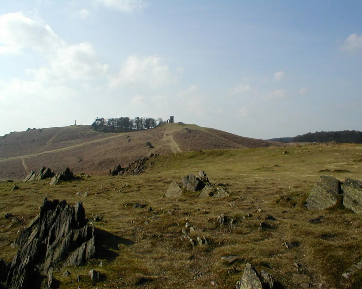 Bradgate Park
